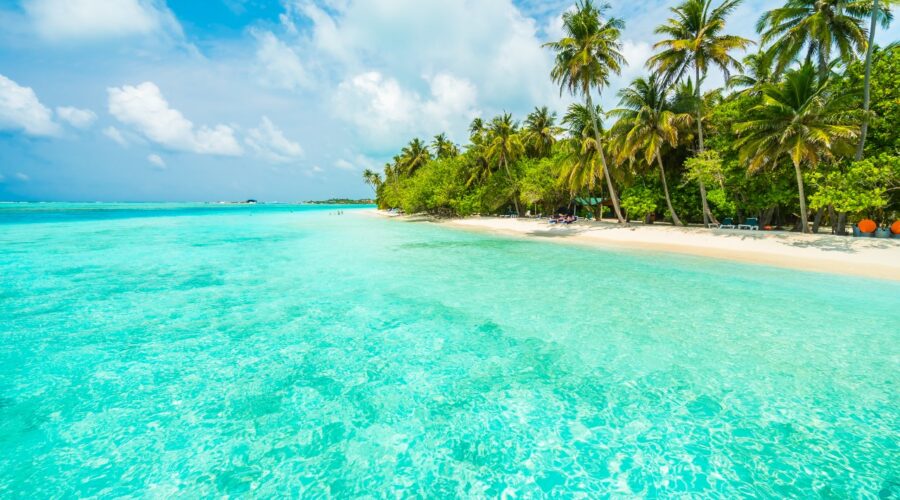 Isla Saona: Un Paraíso Caribeño que No te Puedes Perder