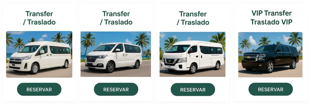 transfers punta cana